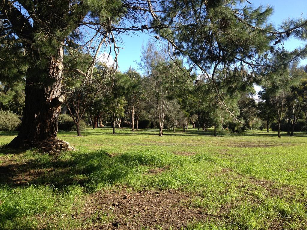 Millicent Lakeside Caravan Park Exterior foto